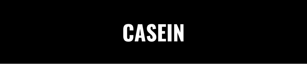 Buy Casein Protein Powder Online - GoFitness.ch - Switzerland