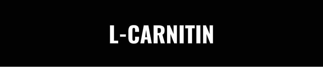Boost Energy and Burn Fat with L-Carnitine Supplements
